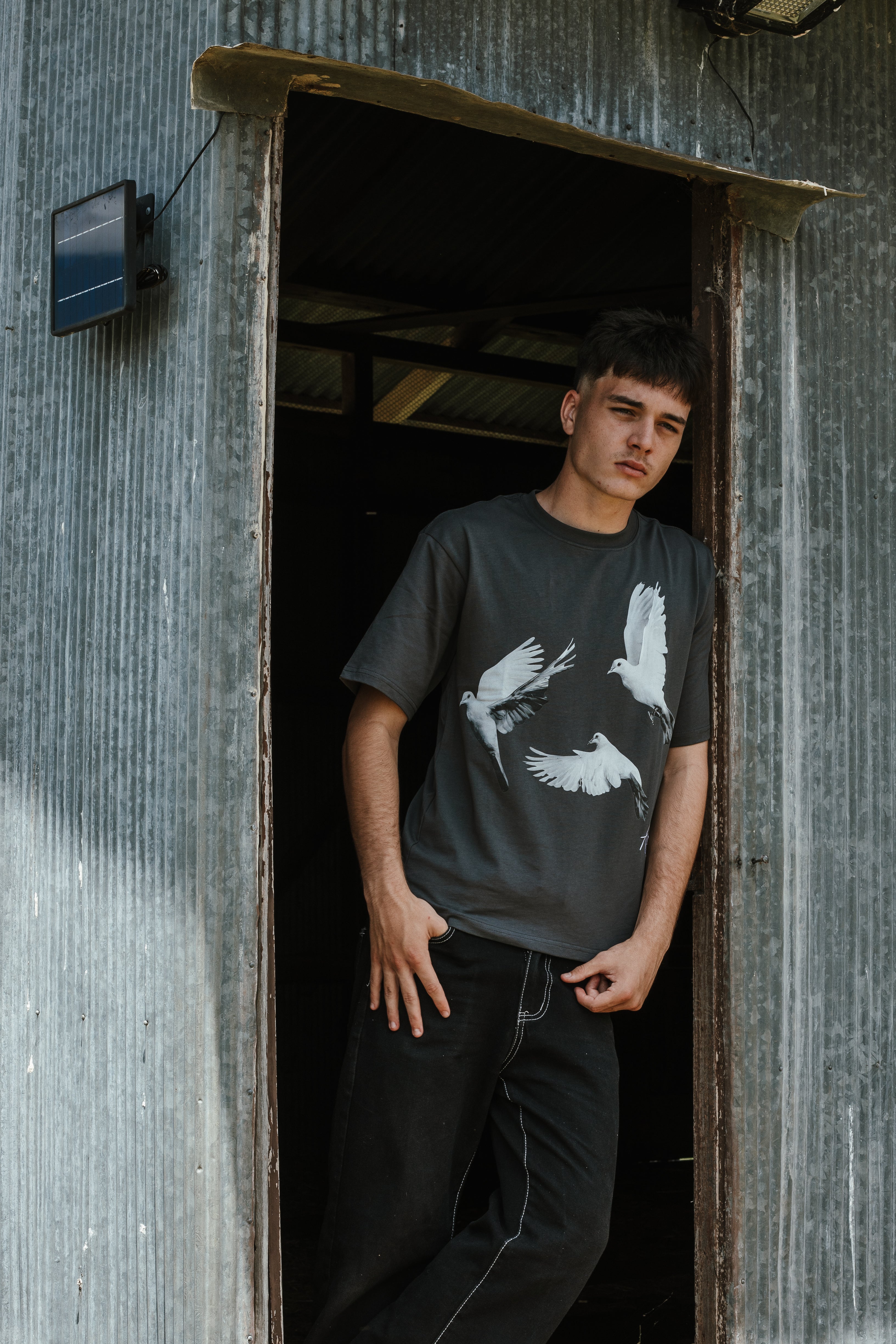 Dove T-Shirt